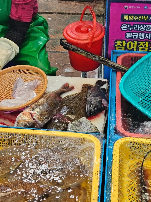 승푸회초장 이미지