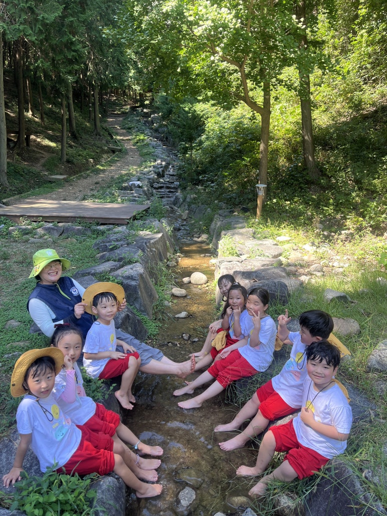 해바라기자연유치원 이미지