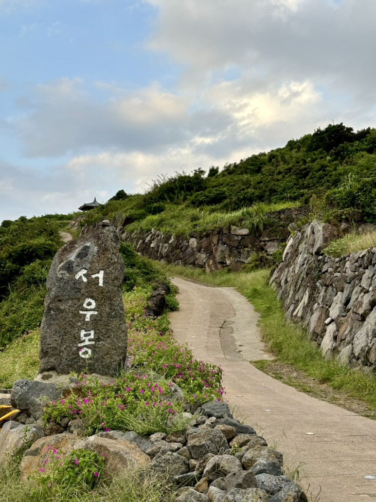 메종엠 이미지