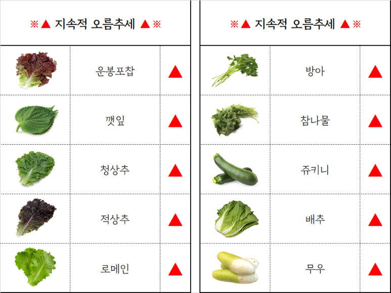 청운유통 이미지