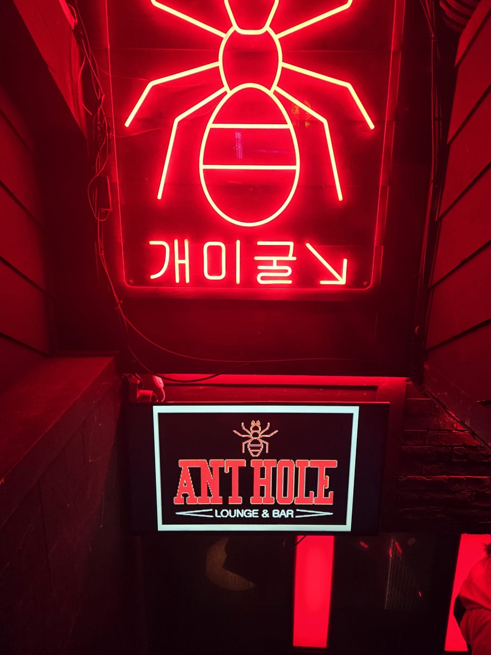 앤트홀 대표 사진
