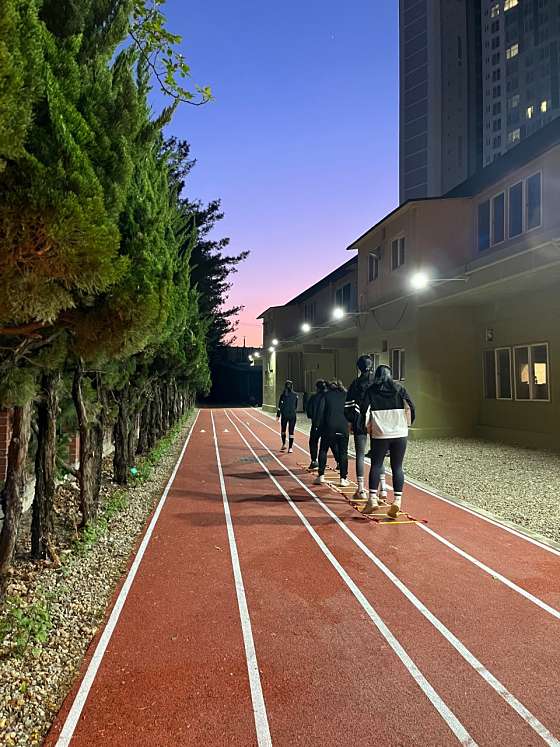 바디플러스 이미지