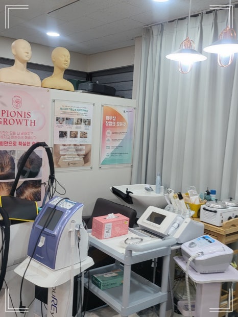 비비테라 이미지