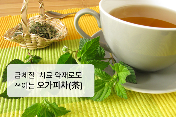 오초한의원 이미지