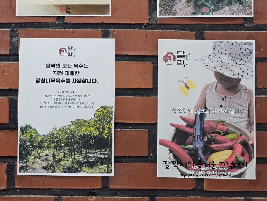 달락달리도낙지 이미지