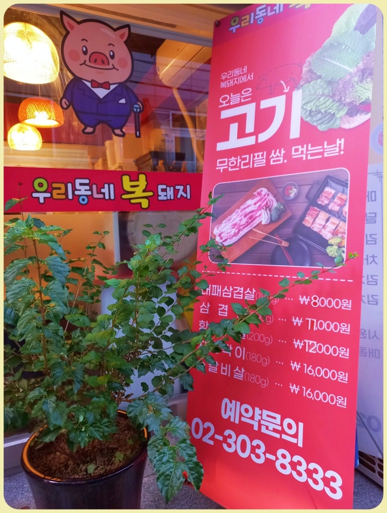 우리동네복돼지 이미지