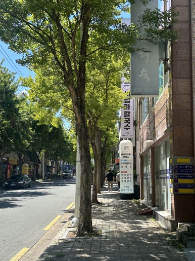 세엄마칼국수서곡점 이미지