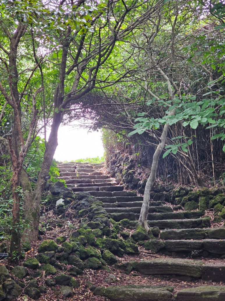 누운산책방 이미지