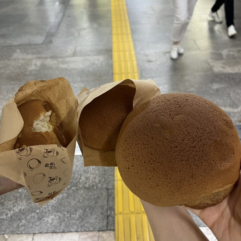 로띠번 이미지