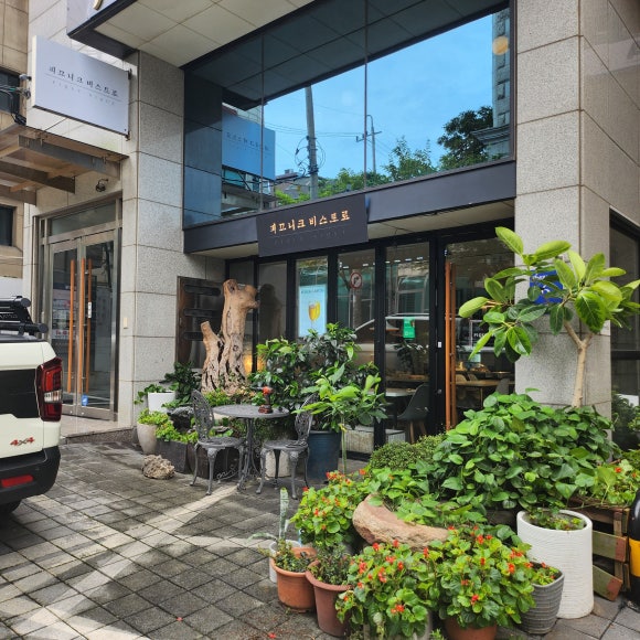 피끄니크 이미지