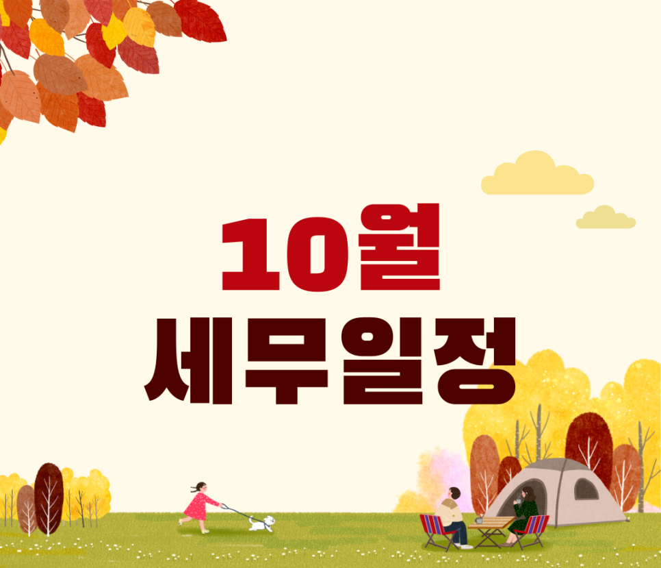 세빛세무회계 이미지