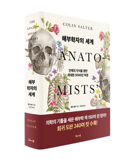 솔터 이미지
