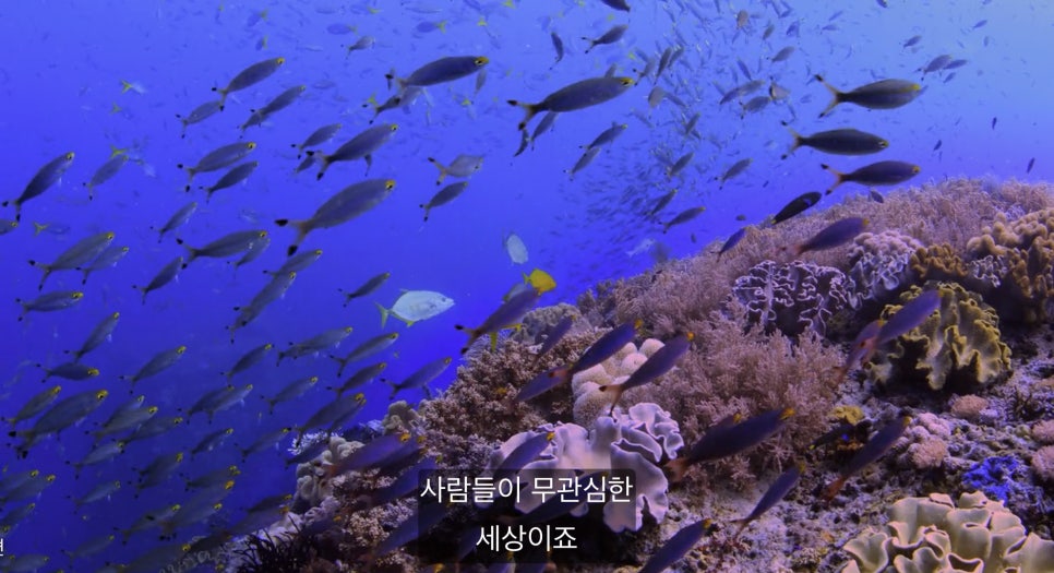 좋은환경 이미지