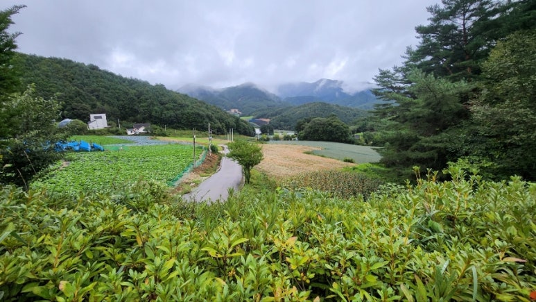 오대산영농조합법인 이미지