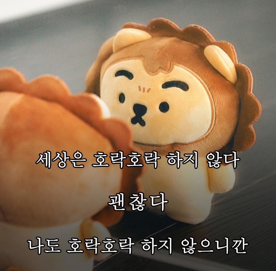 도트 이미지