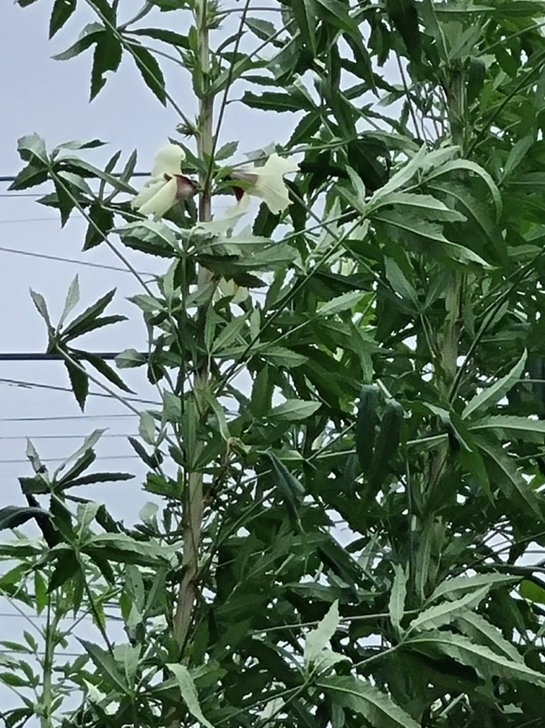 한국환경산업협동조합 이미지