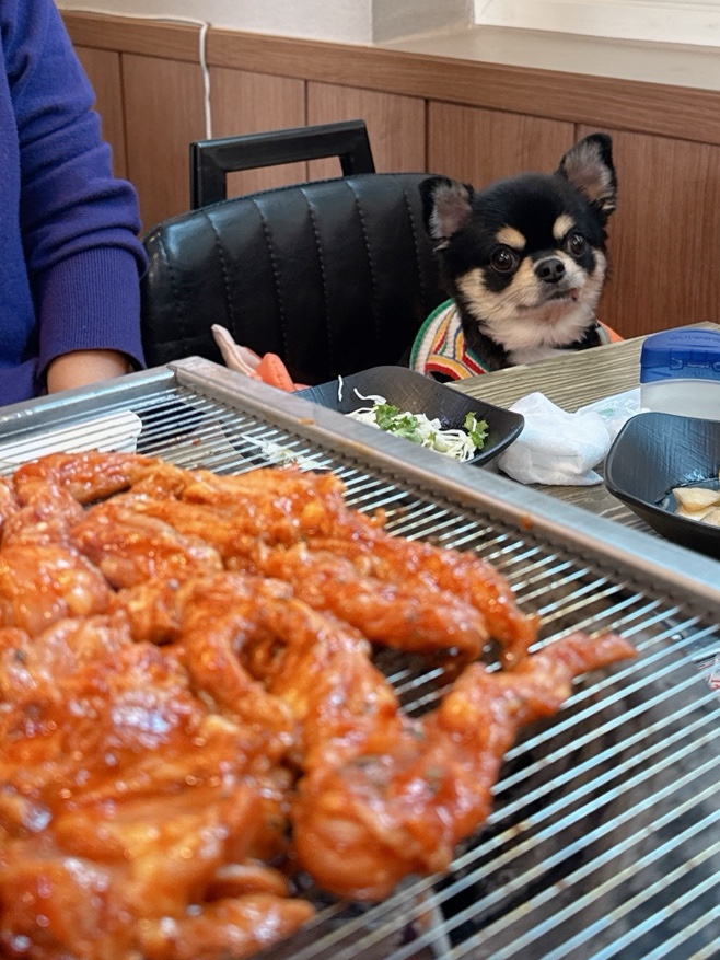 온정오골계숯불구이막국수 이미지