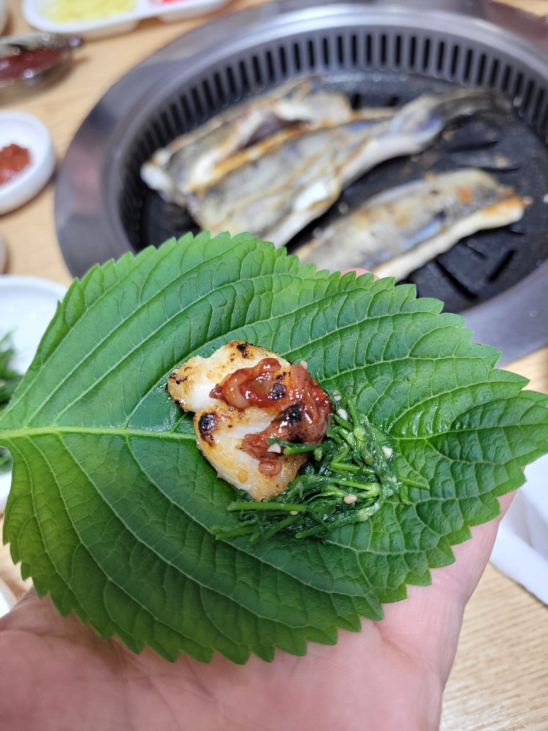 여수바다장어 사진 7