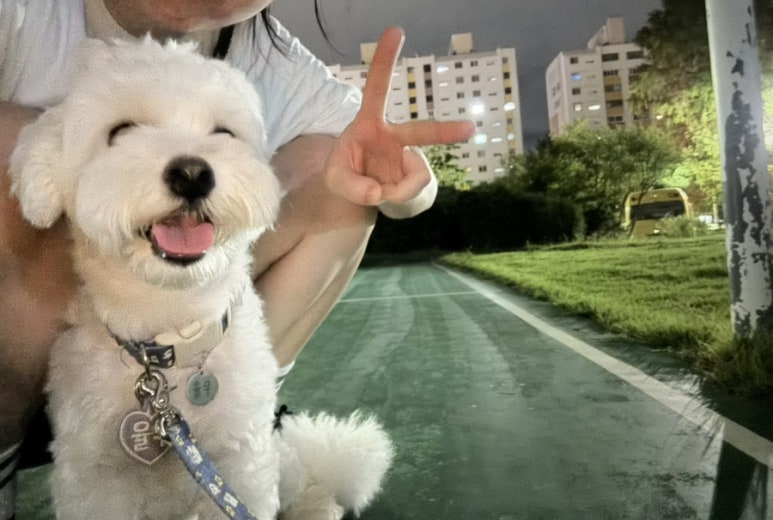 찌니살롱 이미지