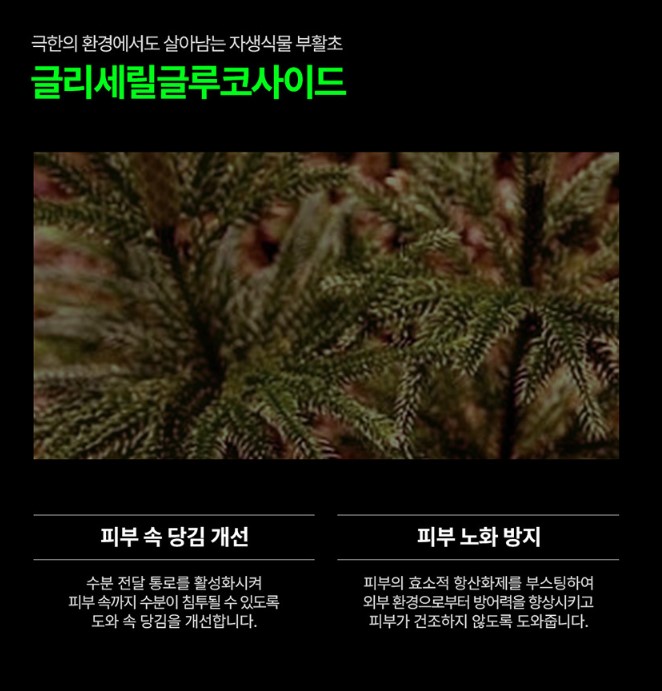뱅상판두 이미지