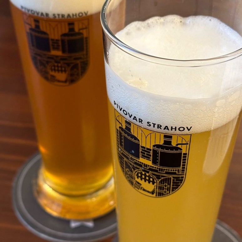 맥주나라 이미지