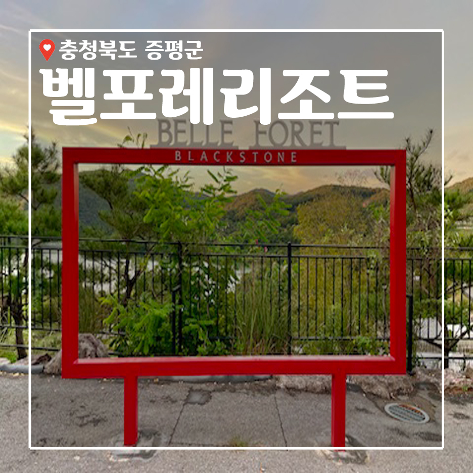벨포레얼룩말카페 이미지