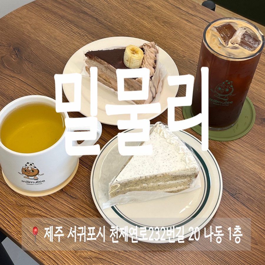 밀물리 이미지
