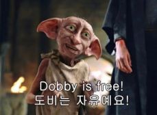 햅시바 이미지