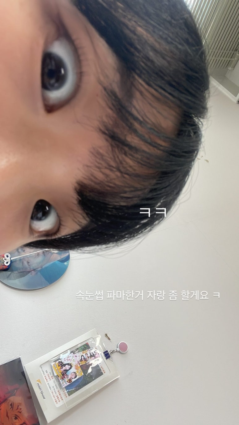 르무아 이미지