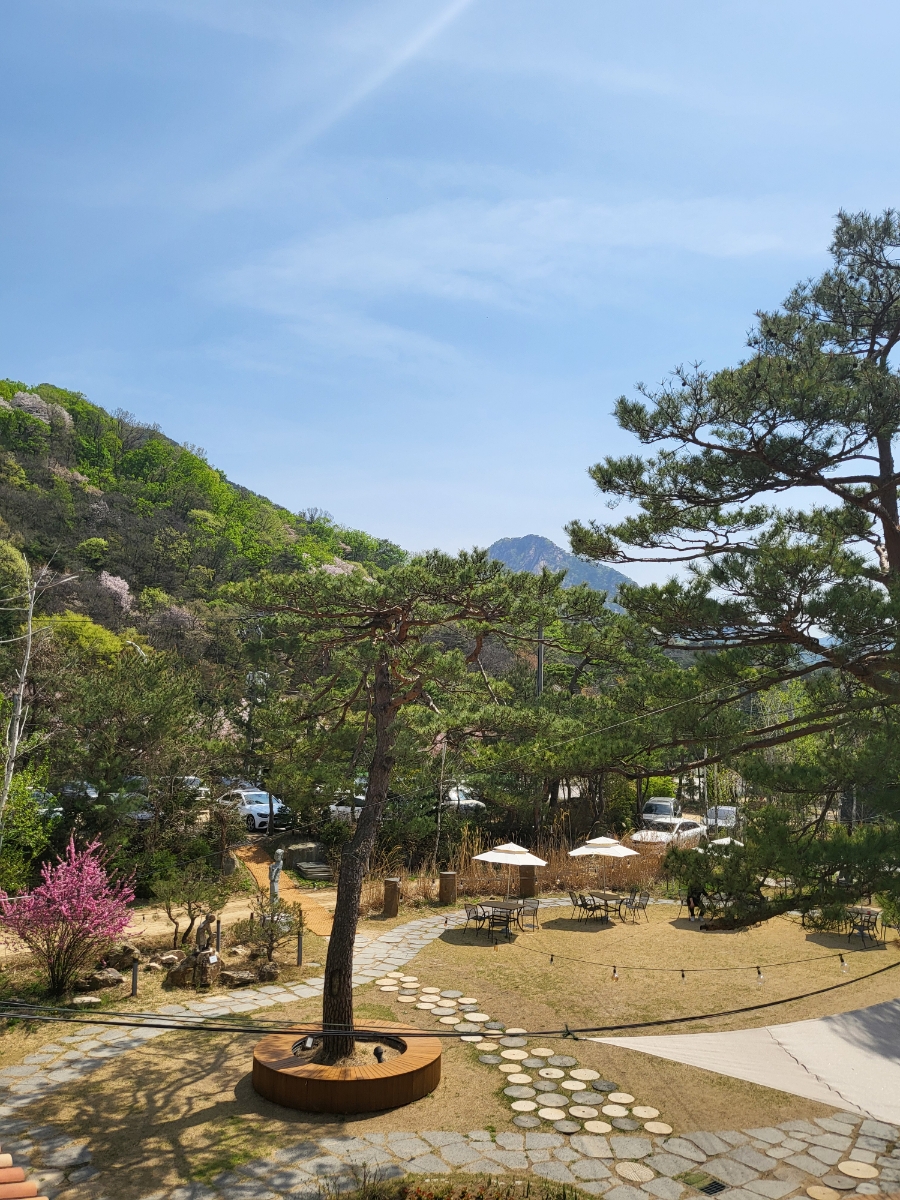 어데뷰 이미지