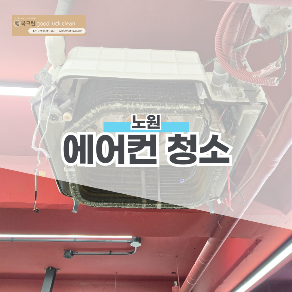 복크린 이미지