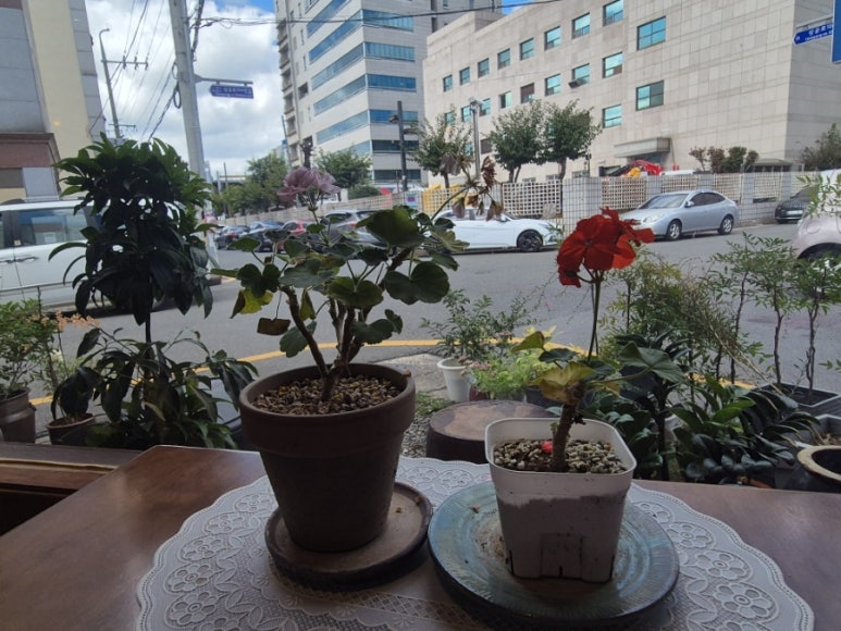 일상가배 이미지