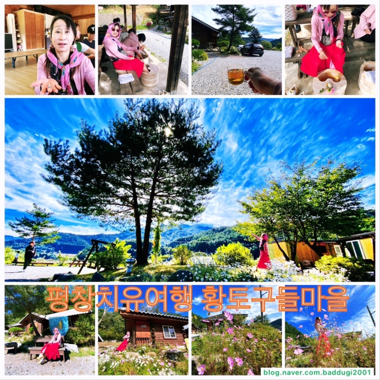 스테이구들 이미지
