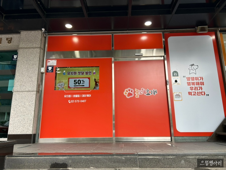 강남 애견유치원 놀러오개, 합리적 비용과 체계적 프로그램 — 사진 2