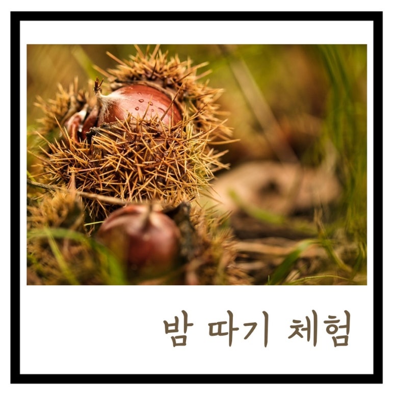 지리산농부마을 이미지