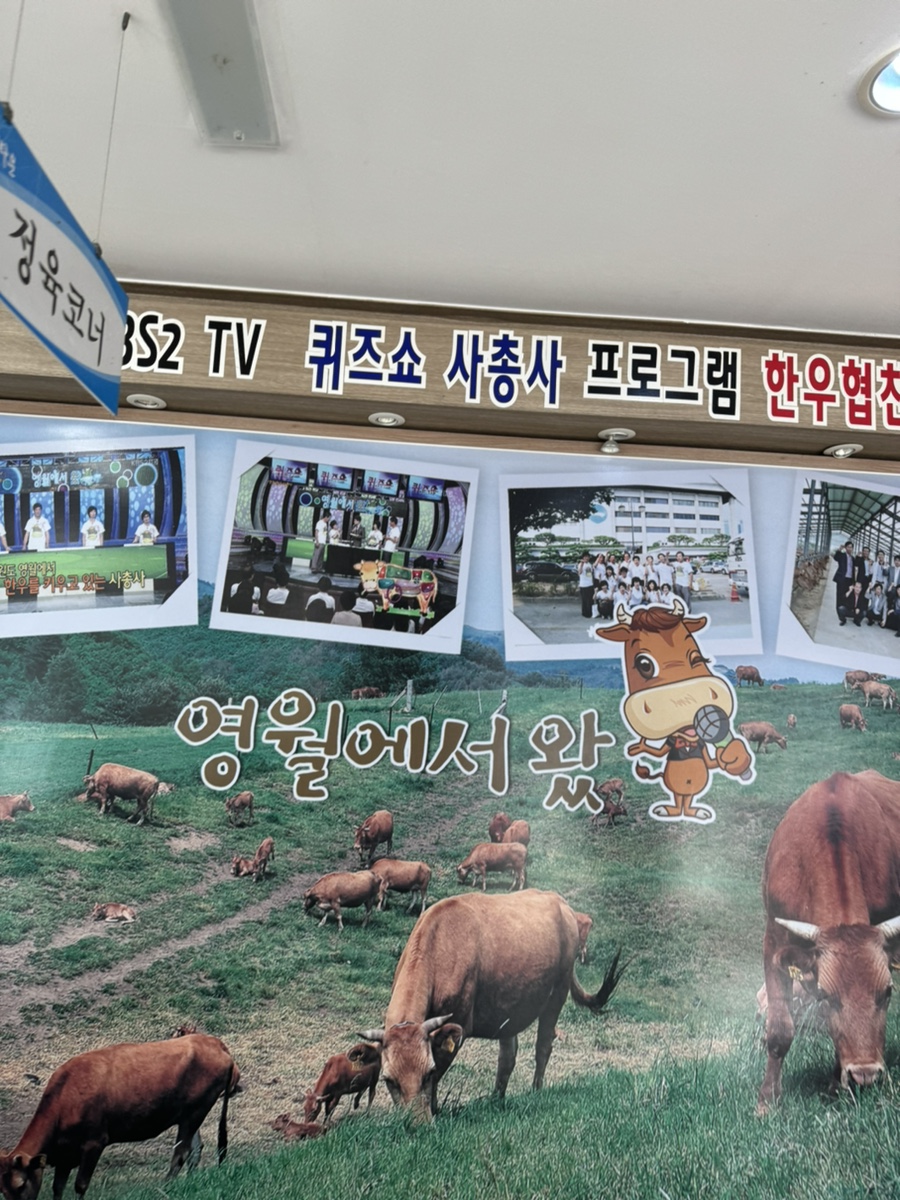 영월한상식당 이미지