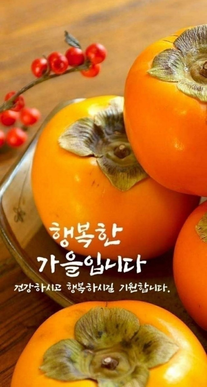 하리요8 이미지