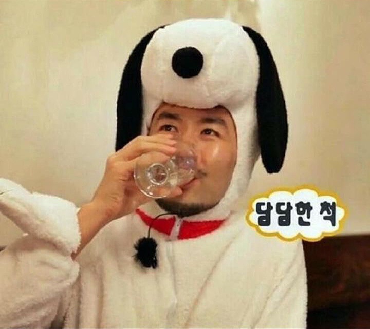 담필름 이미지