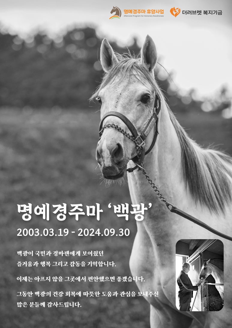 백광 이미지