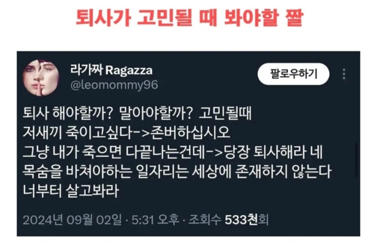 두빵 이미지