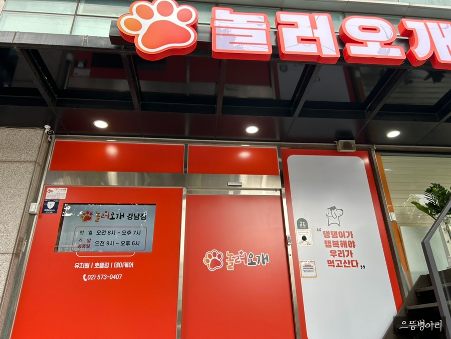 강남 애견유치원 놀러오개, 합리적 비용과 체계적 프로그램 — 사진 3