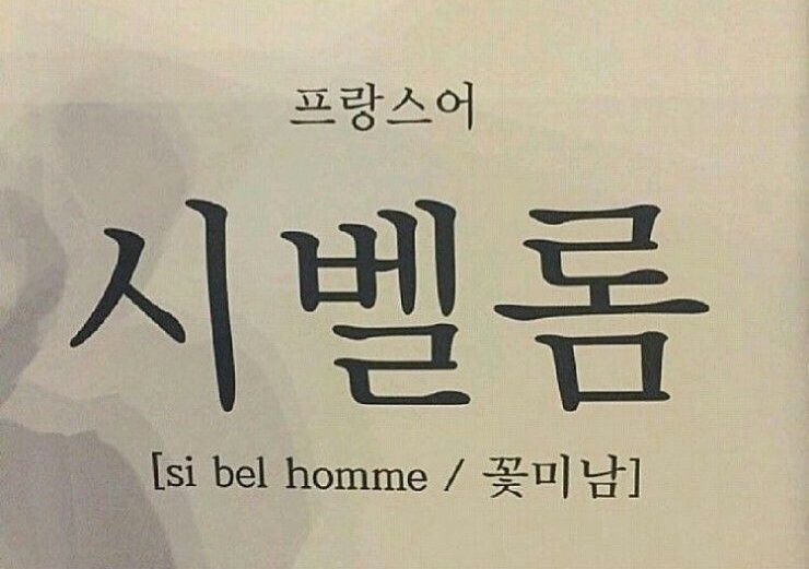 스시코에 이미지