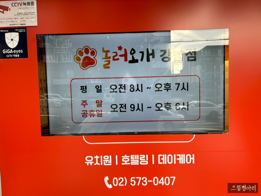 강남 애견유치원 놀러오개, 합리적 비용과 체계적 프로그램 — 사진 5