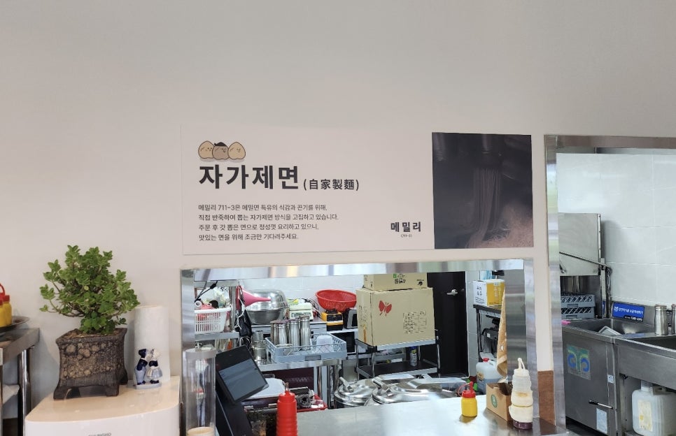 메밀리711-3 이미지