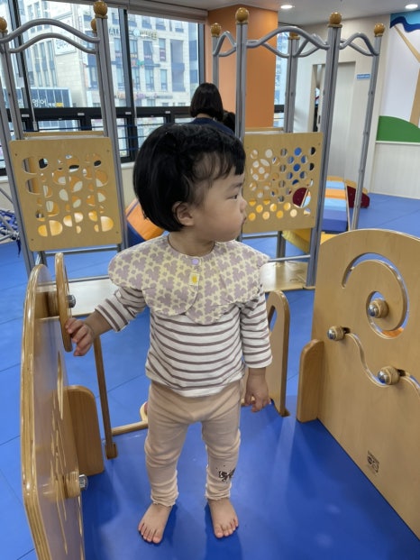 월성짐보리 이미지
