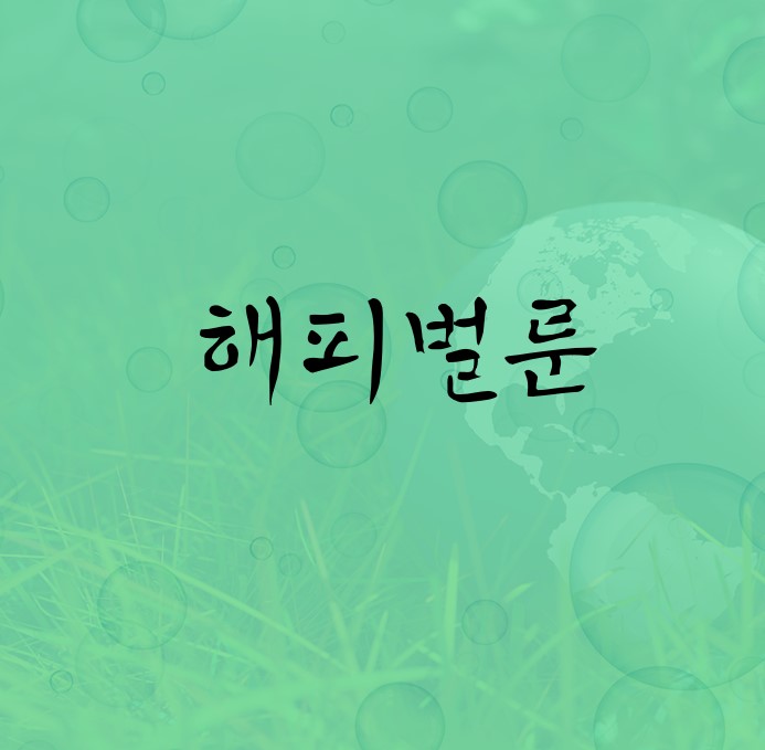법무법인채운 이미지