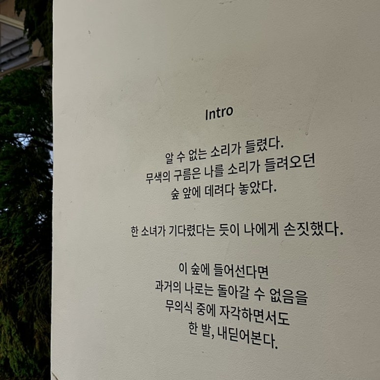 팀보 이미지