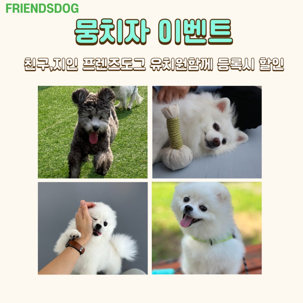 프랜즈유치원 이미지