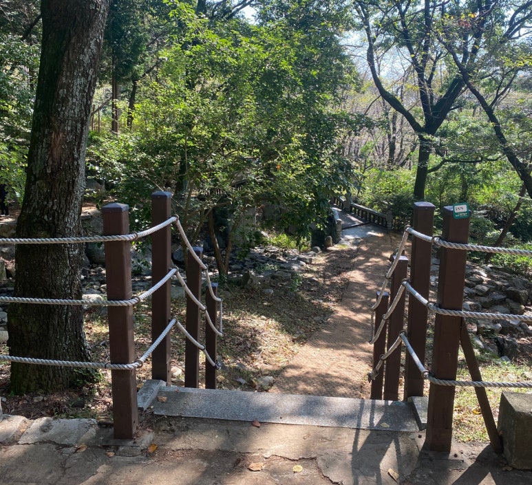 창원 편백치유의숲 유아숲체험원 이미지