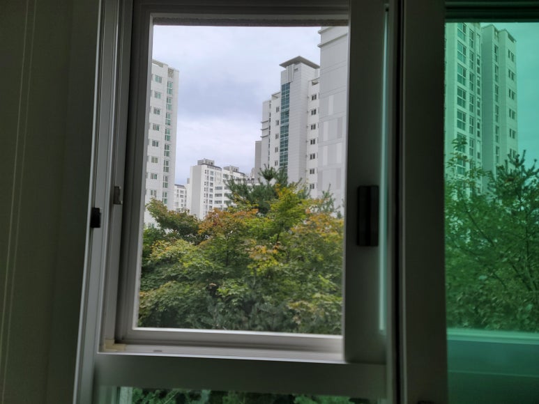 안심에스엘 이미지